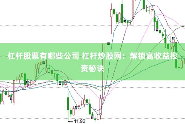 杠杆股票有哪些公司 杠杆炒股网：解锁高收益投资秘诀