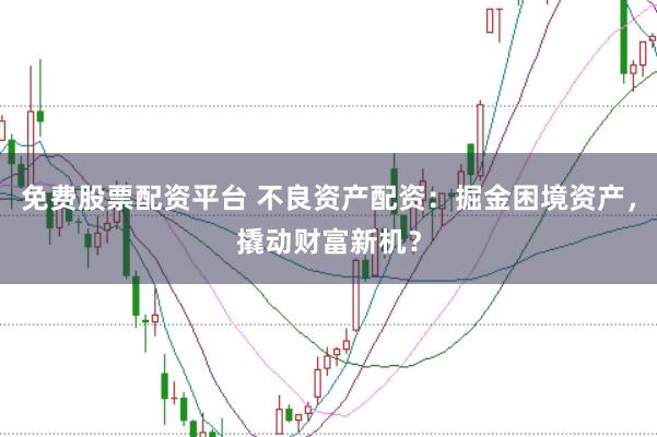 免费股票配资平台 不良资产配资：掘金困境资产，撬动财富新机？