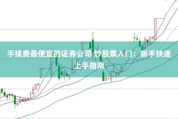 手续费最便宜的证券公司 炒股票入门：新手快速上手指南