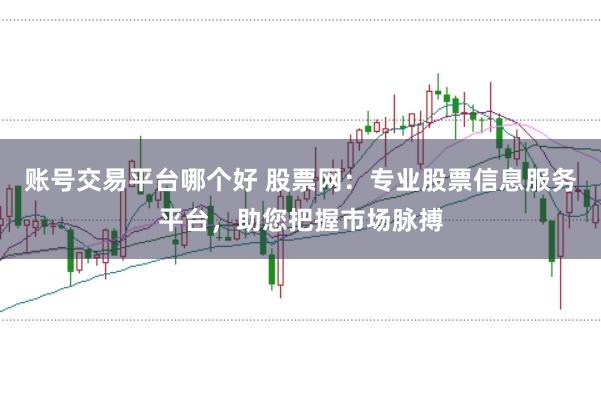 账号交易平台哪个好 股票网：专业股票信息服务平台，助您把握市场脉搏