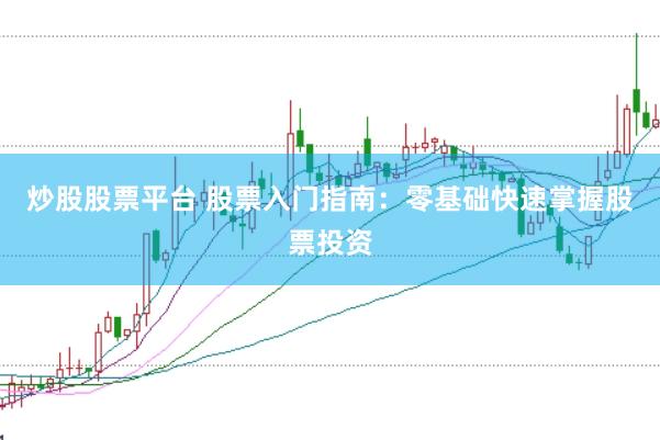 炒股股票平台 股票入门指南：零基础快速掌握股票投资