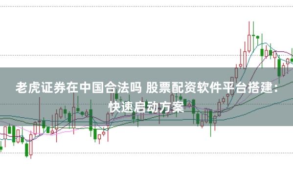 老虎证券在中国合法吗 股票配资软件平台搭建：快速启动方案