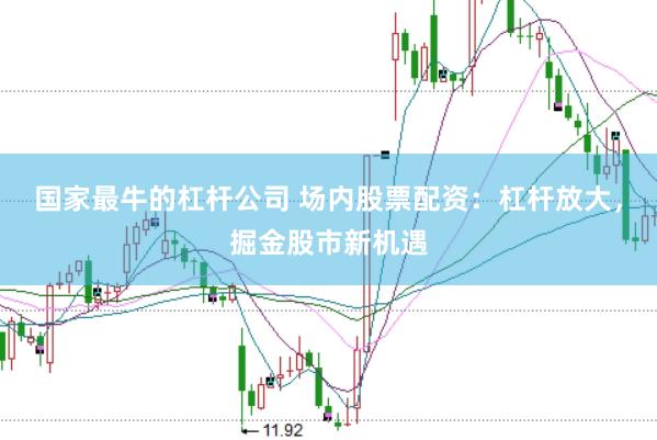 国家最牛的杠杆公司 场内股票配资：杠杆放大，掘金股市新机遇
