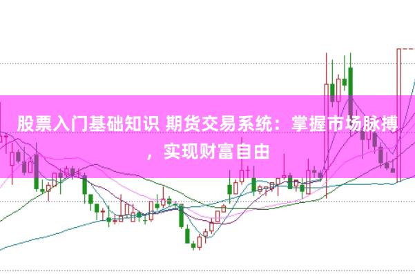 股票入门基础知识 期货交易系统：掌握市场脉搏，实现财富自由
