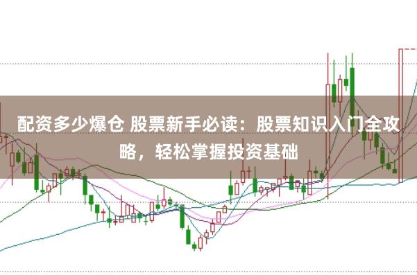 配资多少爆仓 股票新手必读：股票知识入门全攻略，轻松掌握投资基础