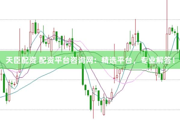 天臣配资 配资平台咨询网：精选平台，专业解答！