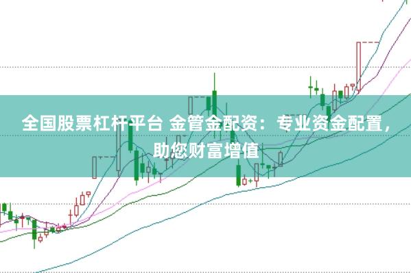 全国股票杠杆平台 金管金配资：专业资金配置，助您财富增值