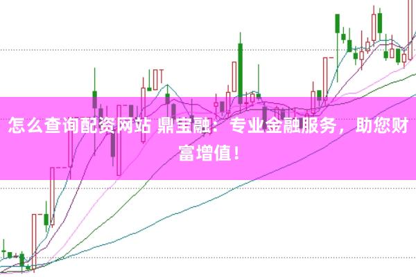 怎么查询配资网站 鼎宝融：专业金融服务，助您财富增值！