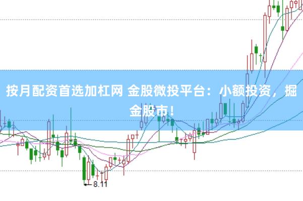 按月配资首选加杠网 金股微投平台：小额投资，掘金股市！