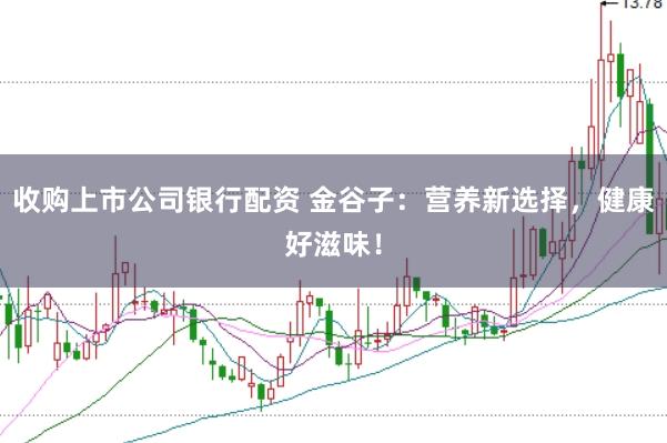 收购上市公司银行配资 金谷子：营养新选择，健康好滋味！