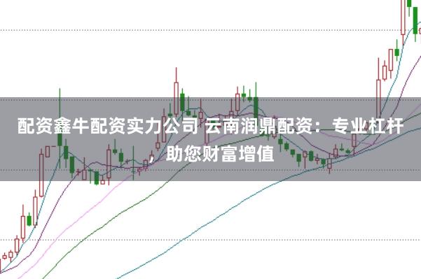 配资鑫牛配资实力公司 云南润鼎配资：专业杠杆，助您财富增值