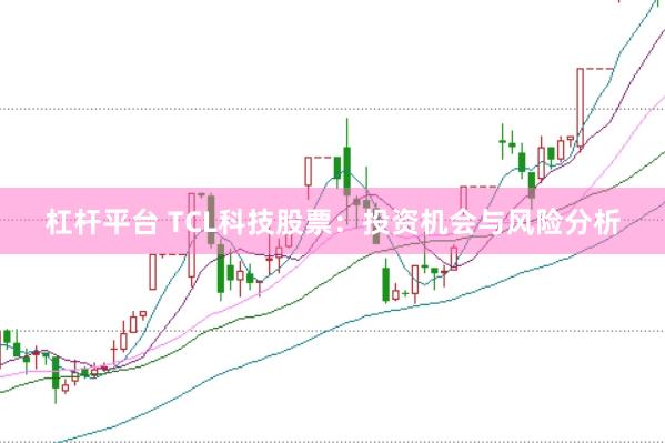 杠杆平台 TCL科技股票：投资机会与风险分析