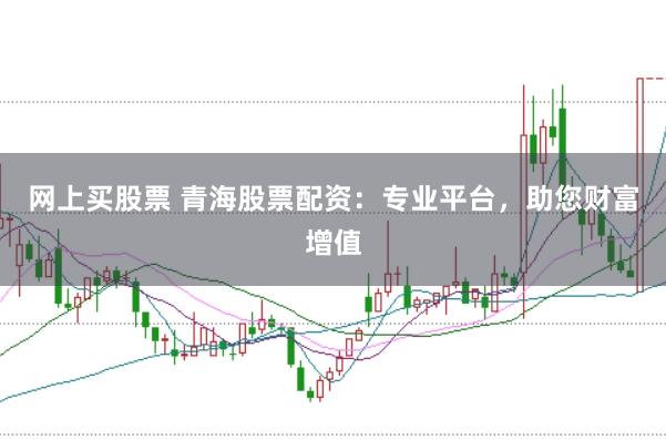 网上买股票 青海股票配资：专业平台，助您财富增值