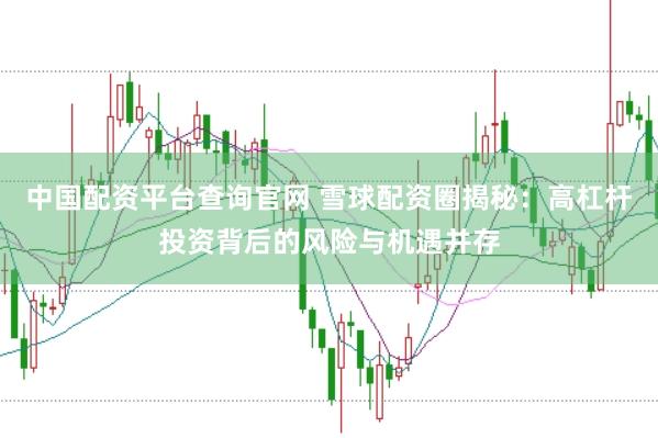 中国配资平台查询官网 雪球配资圈揭秘：高杠杆投资背后的风险与机遇并存