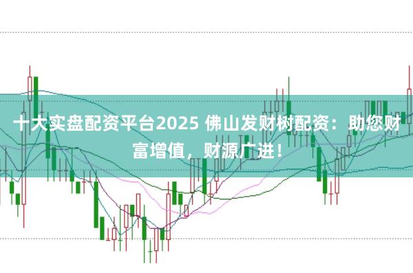 十大实盘配资平台2025 佛山发财树配资：助您财富增值，财源广进！