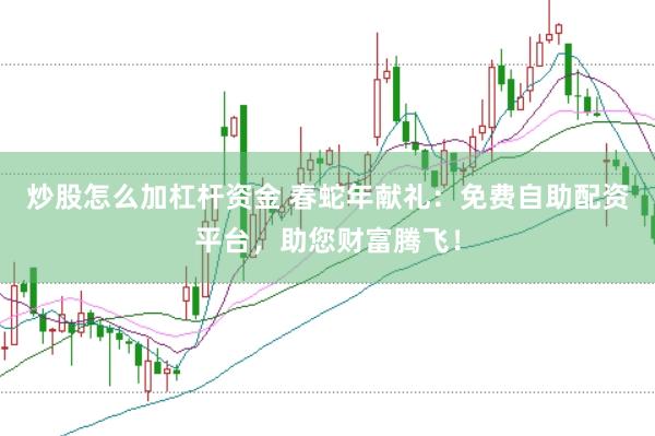 炒股怎么加杠杆资金 春蛇年献礼：免费自助配资平台，助您财富腾飞！