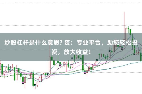 炒股杠杆是什么意思? 资：专业平台，助您轻松投资，放大收益！