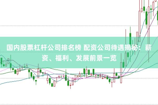 国内股票杠杆公司排名榜 配资公司待遇揭秘：薪资、福利、发展前景一览