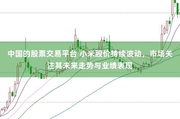 中国的股票交易平台 小米股价持续波动，市场关注其未来走势与业绩表现
