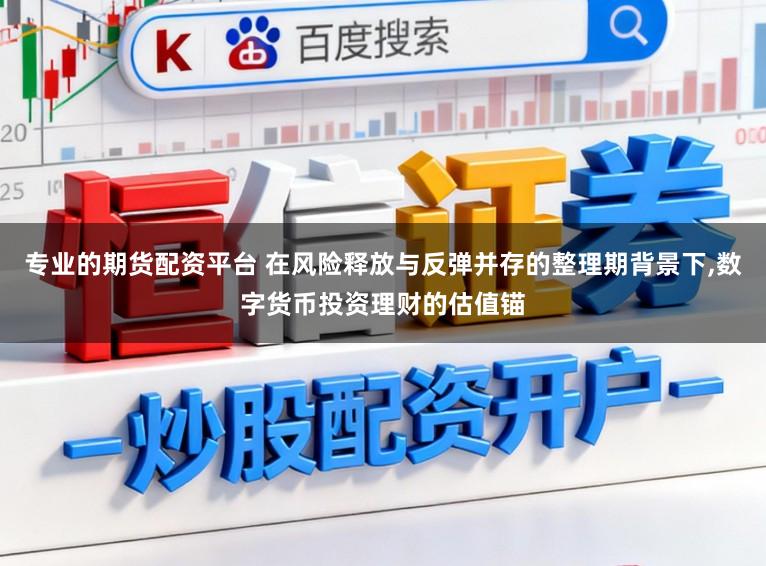 专业的期货配资平台 在风险释放与反弹并存的整理期背景下，数字货币投资理财的估值锚