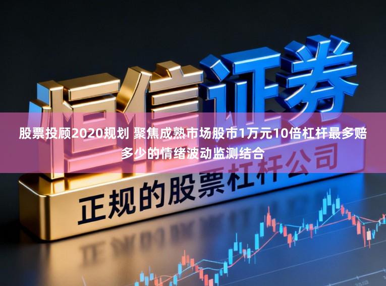 股票投顾2020规划 聚焦成熟市场股市1万元10倍杠杆最多赔多少的情绪波动监测结合