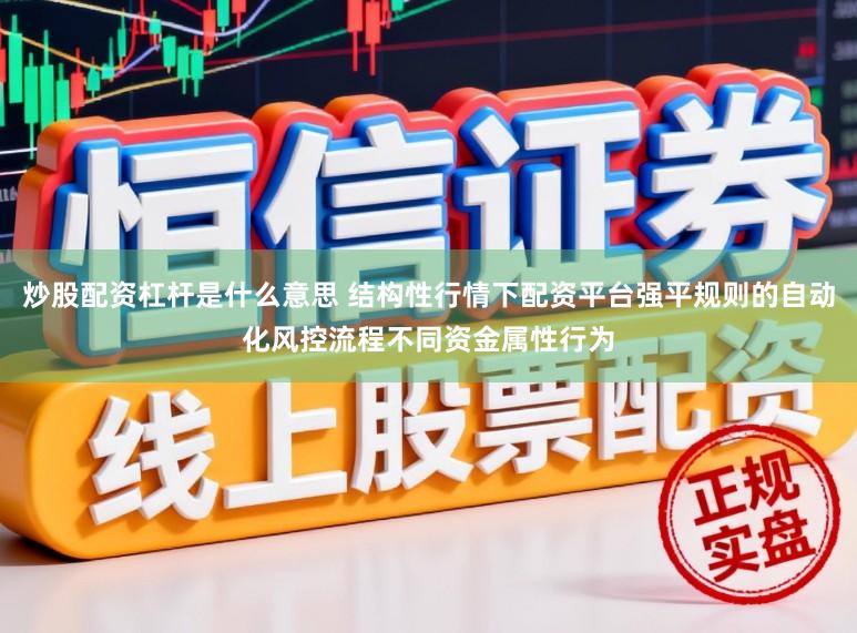 炒股配资杠杆是什么意思 结构性行情下配资平台强平规则的自动化风控流程不同资金属性行为